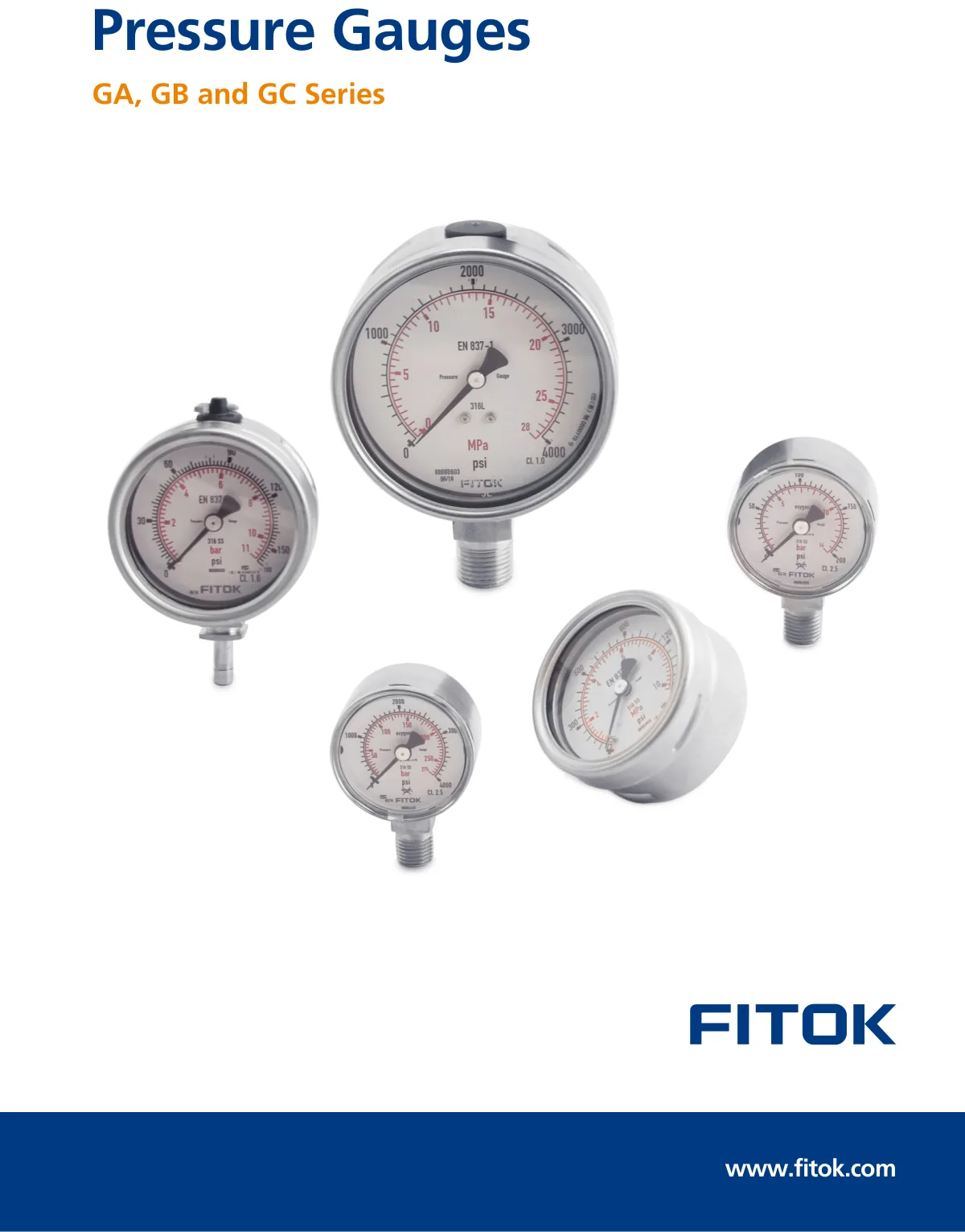 Pressure Gauge (Catalog)