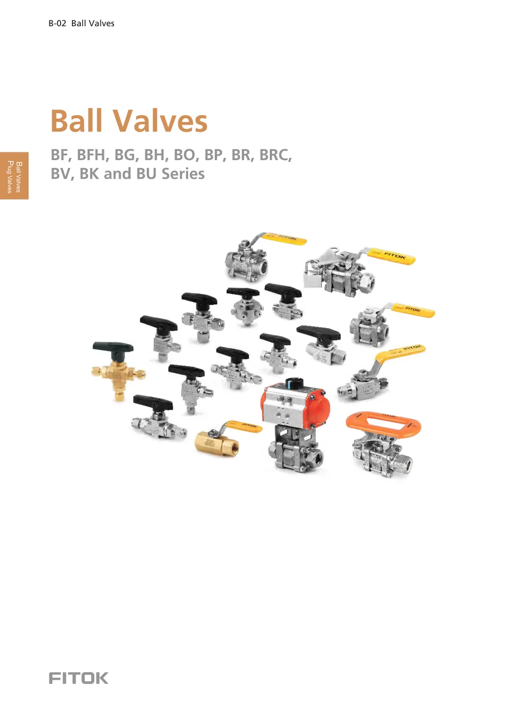 Ball Valves (Catalog)